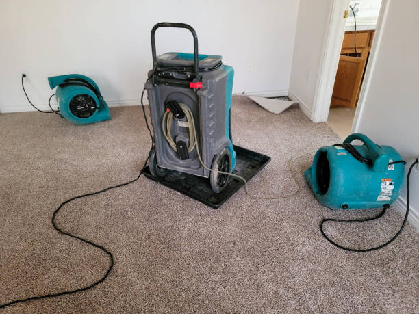 Best Water damage restoration process  in Kingsburg, CA