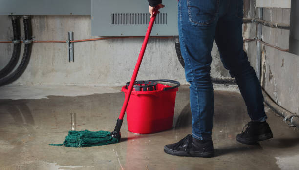 Best Flood damage cleanup  in Kingsburg, CA