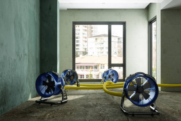 Best Water damage repair service  in Kingsburg, CA
